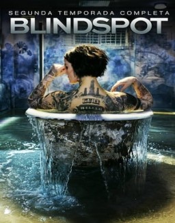 Blindspot temporada  2 online