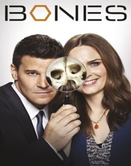 Bones temporada  1 online