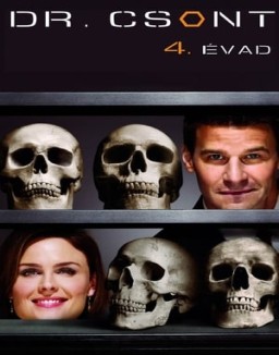 Bones temporada  4 online