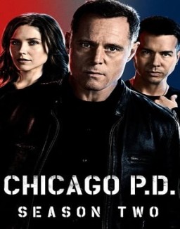 Chicago P.D. temporada  2 online