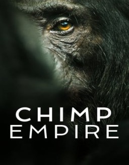 El imperio de los chimpancés T1