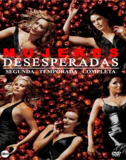 Mujeres desesperadas temporada  2 online