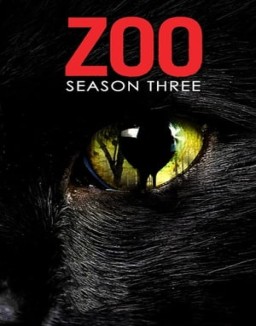 Zoo online gratis